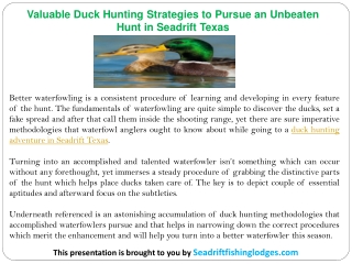 Valuable Duck Hunting Strategies to Pursue an Unbeaten Hunt in Seadrift Texas