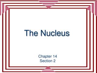 The Nucleus