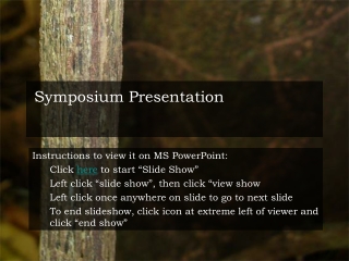 Symposium Presentation