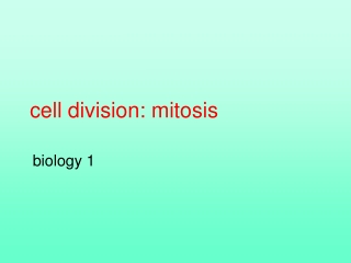 cell division: mitosis