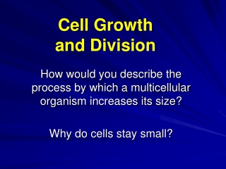 How would you describe the process by which a multicellular organism increases its size?
