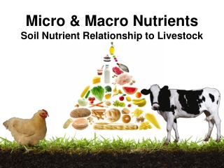 Micro &amp; Macro Nutrients Soil Nutrient Relationship to Livestock