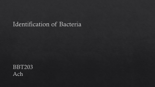 Identification of Bacteria BBT203 Ach