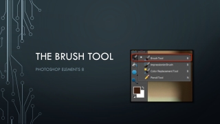 The Brush Tool