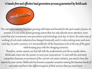 A hassle-free and effective lead generation process guaranteed by BoldLeads Real Estate