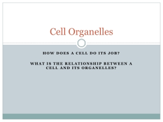 Cell Organelles