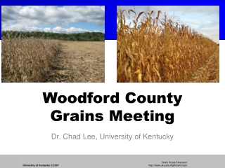 Woodford County Grains Meeting