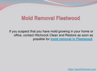 Mold Removal Fleetwood