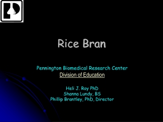 Rice Bran
