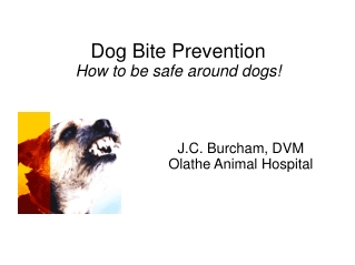 Dog Bite Prevention How to be safe around dogs!