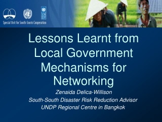 Lessons Learnt from Local Government Mechanisms for Networking