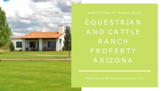 Equestrian and Cattle Ranch for Sale, AZ
