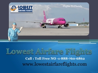 Cheap Flights to Florida