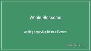 Get Fresh Amaryllis Christmas Flowers for Decoration