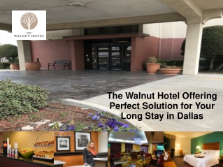 The Walnut Hotel Offering Perfect Solution for Your Long Stay in Dallas