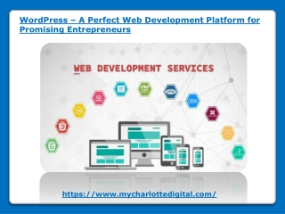 WordPress - A Perfect Web Development Platform