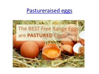 Pastureraised eggs - Happy hens