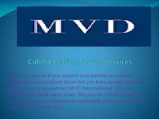 Catch Cheating Spouse Services