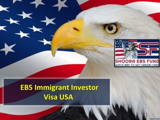 EB5 Immigrant Investor Visa USA, USA Green Card for Indians – Shoora EB-5