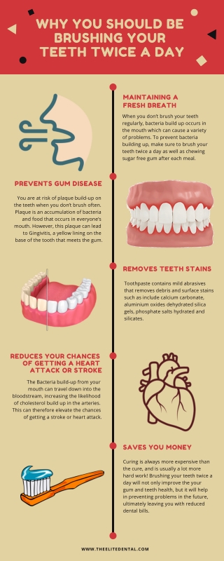 Why You Should be Brushing Your Teeth Twice a Day