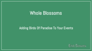 Add Bird of Paradise to Your Event and Make Your Occasion Special