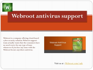 webroot antivirus support