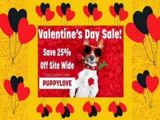 Valentine’s Day Sale || Bloomingtails Dog Boutique