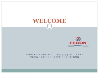 Fegon Group | Best Internet Security Solutions | 8445134111