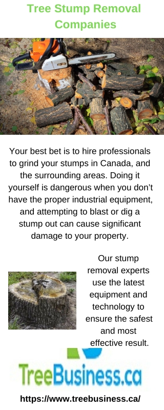 Tree Stump Removal Companies | Tree Business