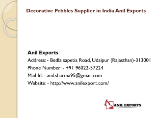 Decorative Pebbles Supplier in India Anil Exports