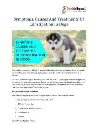 Symptoms, Causes And Treatments Of Constipation In Dogs