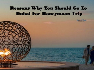 Reasons Why You Should Go To Dubai For Honeymoon Trip