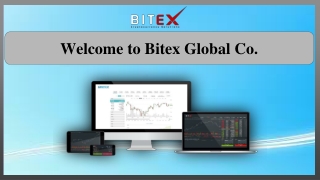 BitexPay Merchant App | Bitex Global Co.