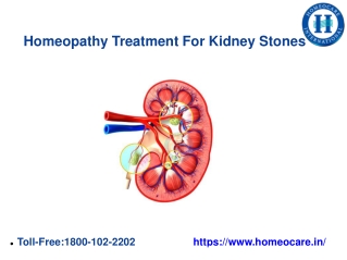 Homeopathy has an excellent solution for Kidney Stones