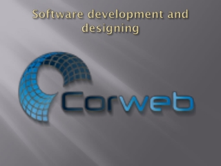 software development company in lahore