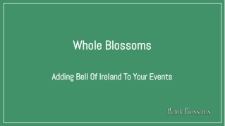 Get Fresh Bells of Ireland Flower from Whole Blossoms