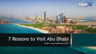 7 Reasons to Visit Abu Dhabi on your UAE visit!