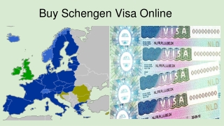 Best Place To Buy Schengen Visa Online! | Citizenship Documents