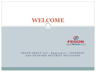 Fegon Group | Internet Security Solutions | 8445134111