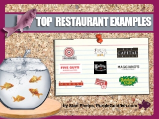 Top Purple Goldfish Restaurant Examples