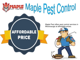 Maple Pest Control