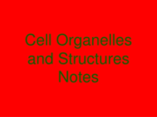 Cell Organelles and Structures