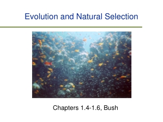 Evolution and Natural Selection