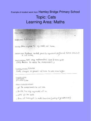 Example of student work from Hamley Bridge Primary School Topic: Cats Learning Area: Maths