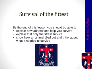 Survival of the fittest
