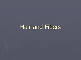 Hair and Fibers