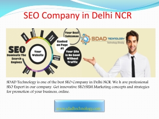SEO Company in Delhi NCR-SDAD Technology