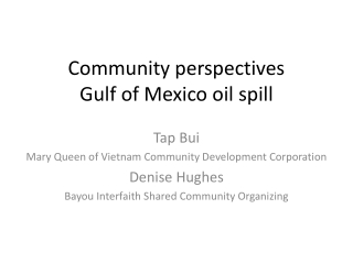 Community perspectives Gulf of Mexico oil spill