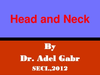 Head and Neck