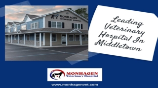 Leading Veterinary Hospital Middletown